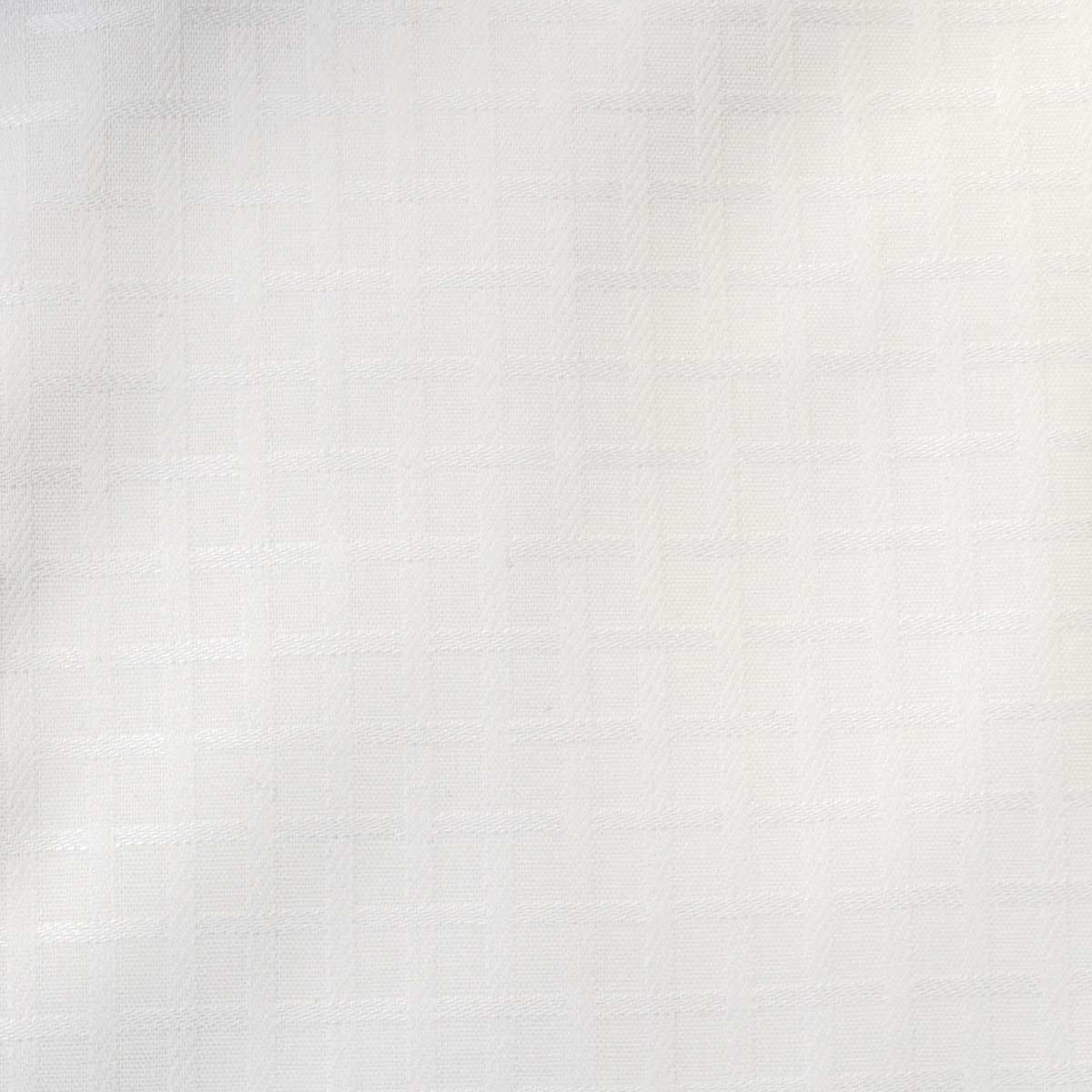 U.P renoma 半袖スリムフィット カッタウェイ ホワイト ワイシャツ