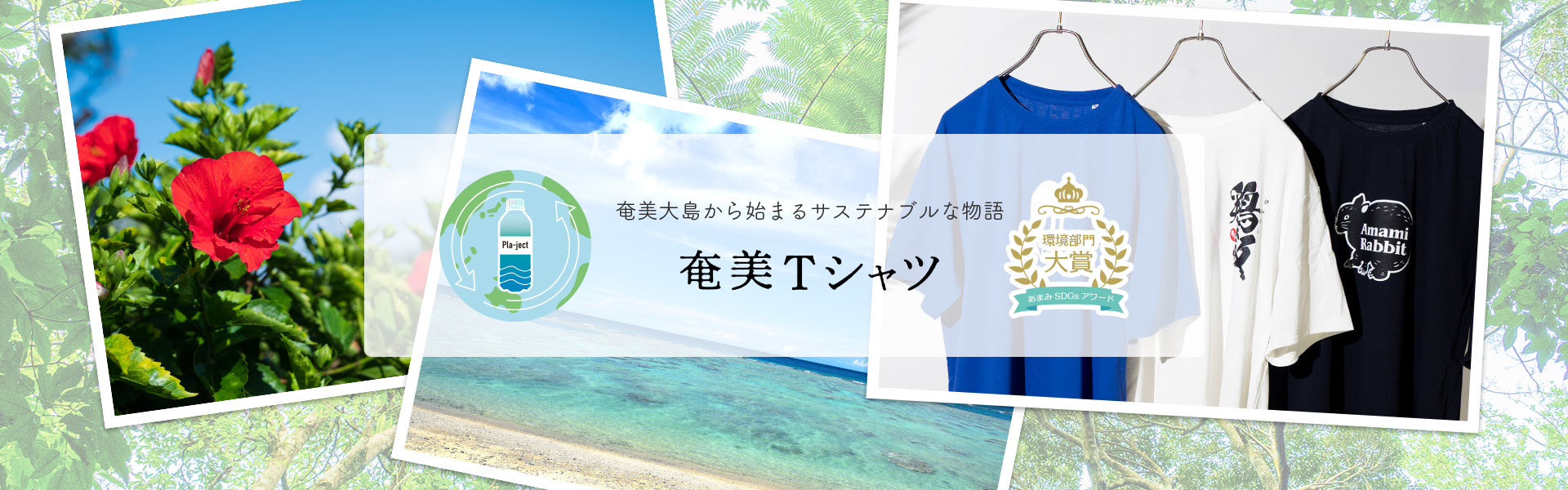 奄美大島から始まるサスティナブルな物語 奄美Tシャツ
